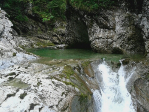 20150709_115259.jpg image