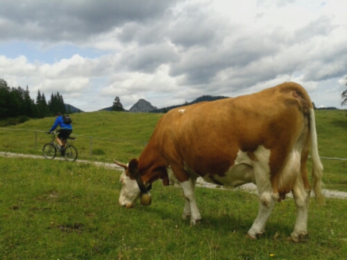 20150709_130410.jpg image