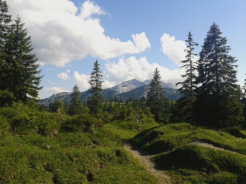 20150721_171450.jpg image