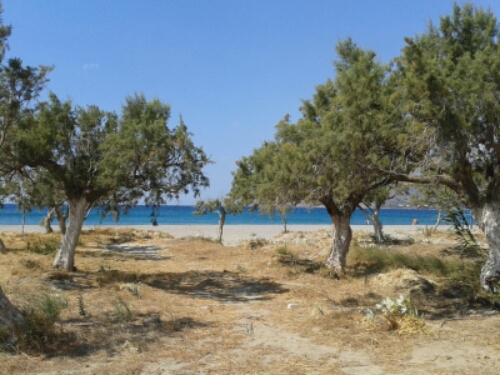 20150915_122353.jpg image