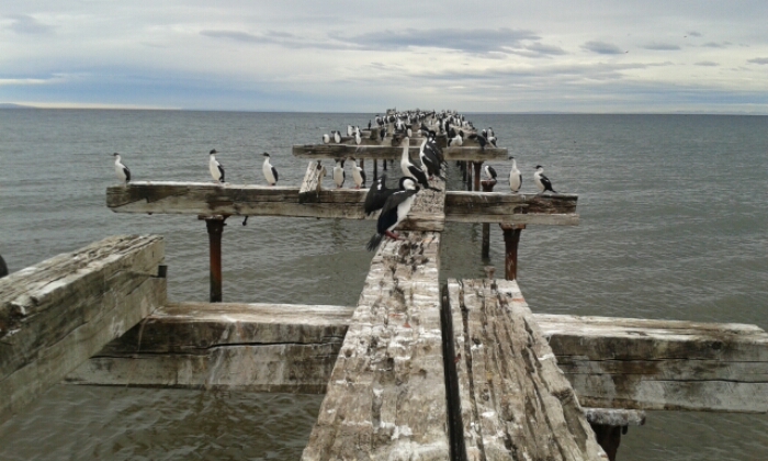20160405_162629.jpg image