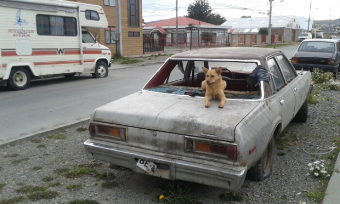 20160405_171936.jpg image